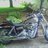 whitetiger6868's profile image