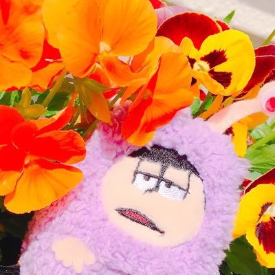 しゅん👻さんのプロフィール画像