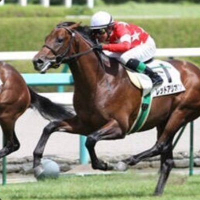 中央大学競馬サークル「pixie（ピクシー）」です！2013年創設。東京競馬場での観戦会をメインに活動しています。現在32名在籍。兼サーOK、学年も問いません。競馬好きの中大生さん、一緒に競馬を楽しみませんか？