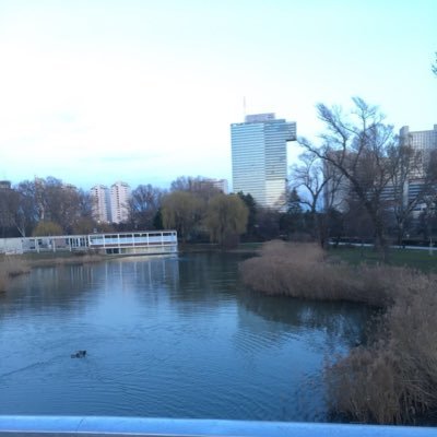 MertOP_'s profile picture. 