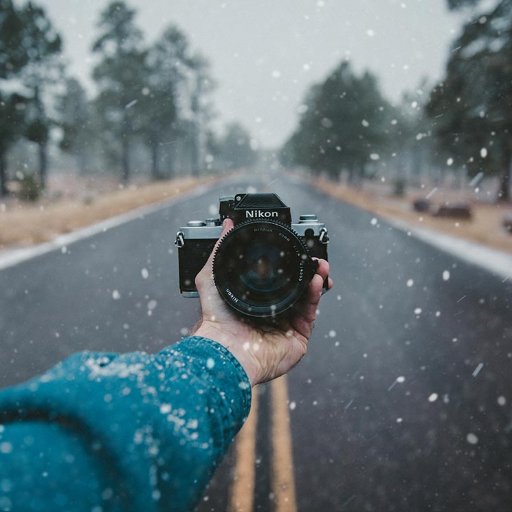 I am Maria a blogger and writer. I love writing on pet, travel, fashion etc