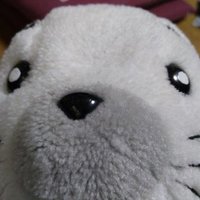 kの (@sugaoashibegoma) 's Twitter Profile Photo kの (@sugaoashibegoma) 's Twitter Profile Photo