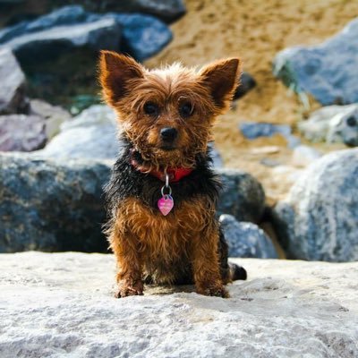 mary27333163's profile picture.