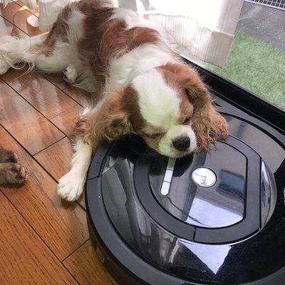 とものプロフィール写真