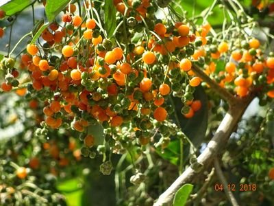 RRajwanshi2's profile picture. देश सर्वप्रथम