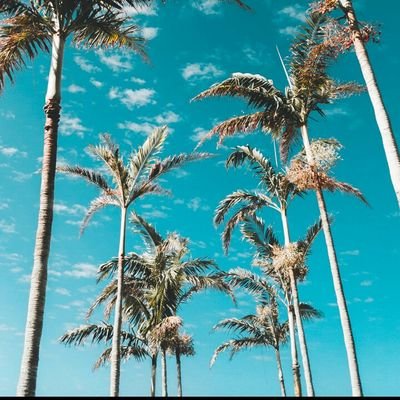 Viictooriiaa_21's profile picture. ➿Todo nuestros sueños se pueden hacer realidad👌