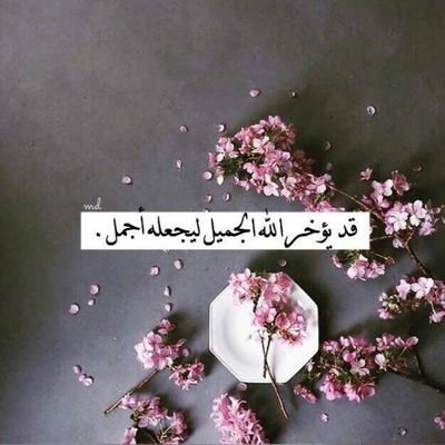 Marym68877326's profile picture. 