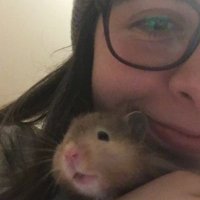 rbk (@miniloafcake) 's Twitter Profile