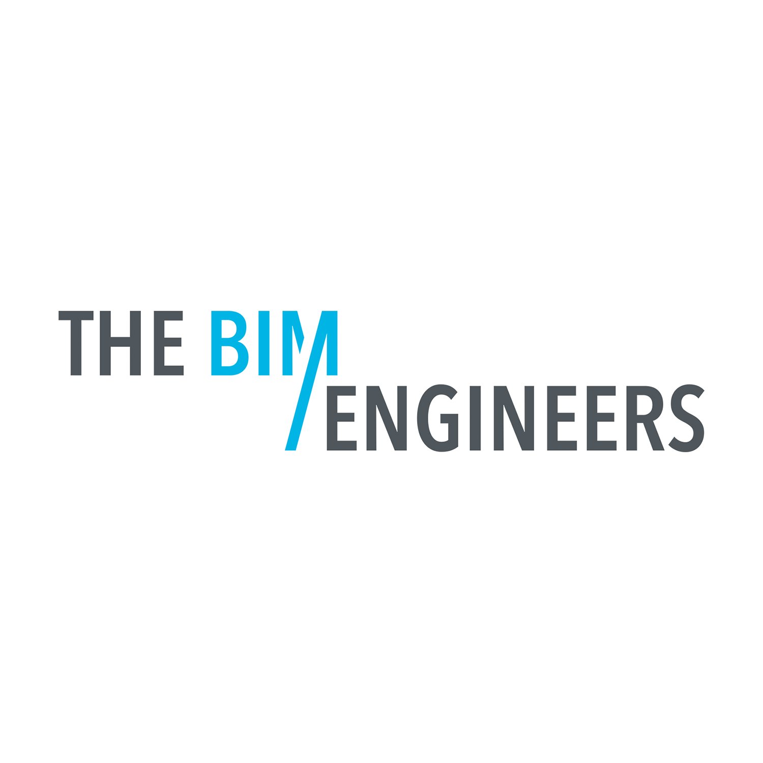 We are The BIM Engineers.
A multinational and multidisciplinary full service BIM company. Leading in the world of BIM.