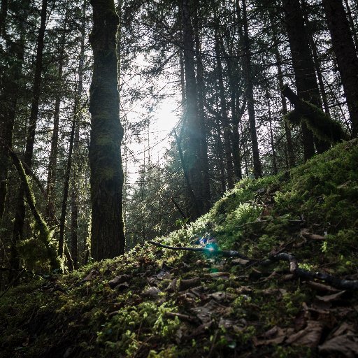 GreenTreee_A's profile picture. 