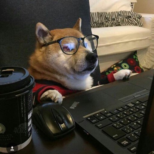 NilericTw's profile picture. 