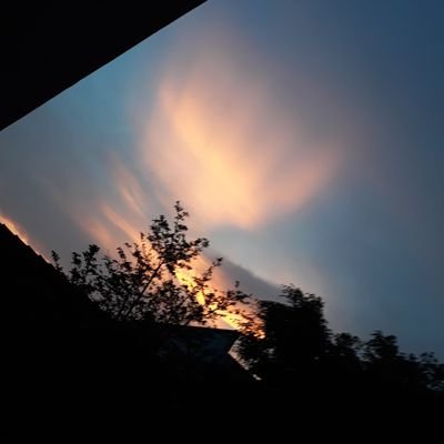 Truongkore123's profile picture. Kpop,  watch TV,  i am live in Vietnam and I wish I were live in Korean in the future! . 안녕하세요 !