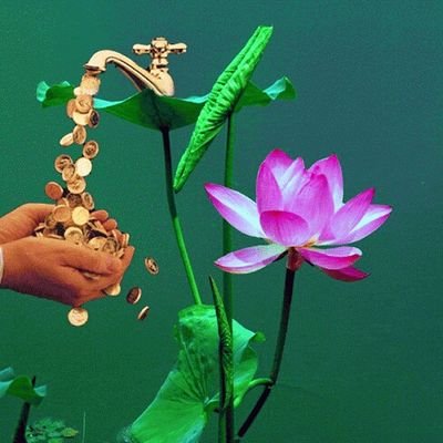 nicaraguasurfer's profile picture. 