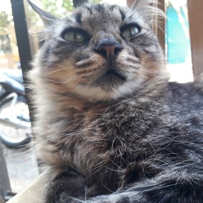 AmauryMass's profile picture. 