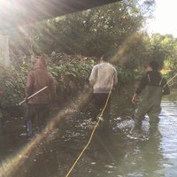 Durham Uni Aquatic Animal Ecology Lab (@duruni_aqua_lab) 's Twitter Profile