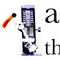 Thutupalli Lab @ NCBS and ICTS (@thutupallilab) 's Twitter Profile