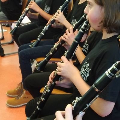 Inspectrice d’académie, inspectrice pédagogique régionale Honoraire #ÉducationMusicale, #innovation #apprendreàêtrehumain #EFCC