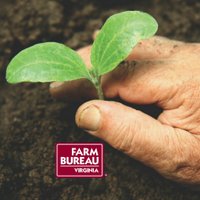 Virginia Farm Bureau(@VaFarmBureau) 's Twitter Profile Photo