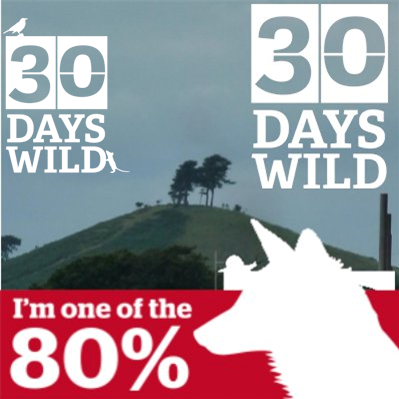 Fascinated by nature & happiest when outside surrounded by wildlife. Supporter of all living creatures & their right to live peacefully and unharmed. PA to a 🐈