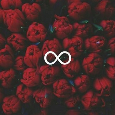 SH_20_h's profile picture. حبيبي خلني دايم بقربك❤️ .