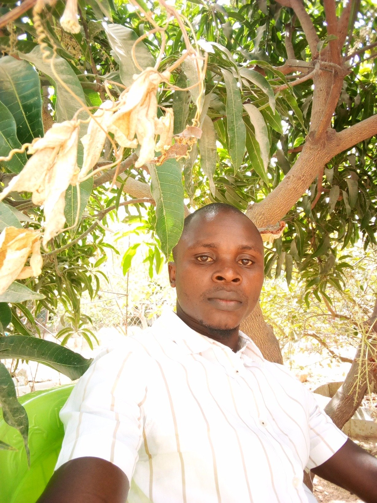 Don_Amwe_42408's profile picture. 