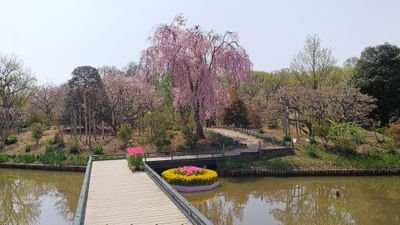 fZ8OU7ypmS8Tfs0's profile picture. 気づけばもうジジイです(笑)52歳😁
趣味は色々、最近はランニング
映画、音楽、漫画、絵を描くこと等
よろしくお願い致します😊