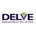 Delve Management Solutions (@delvesolutions) Twitter profile photo