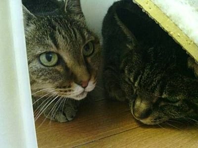 sJ71T9gPXLpzvJV's profile picture. 