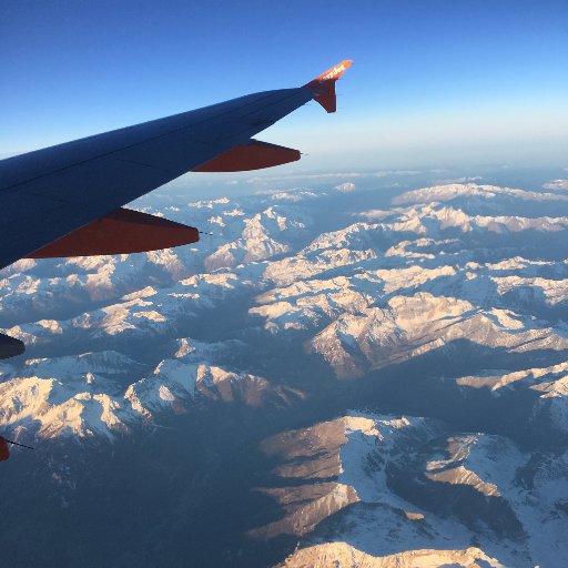 PZTravel's profile picture. 