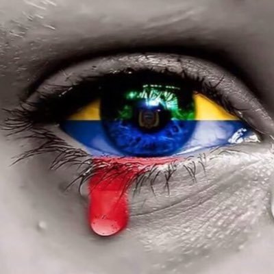 tigre_cali's profile picture. 