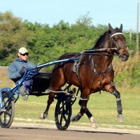 Travis Alexander (@talexstable) 's Twitter Profile