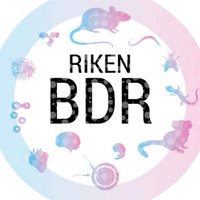 理研BDR(生命機能科学研究センター)(@RIKEN_BDR) 's Twitter Profile Photo