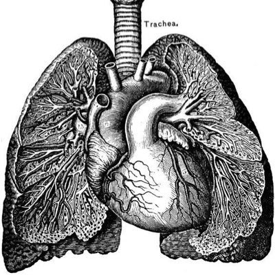 El enfoque de esta página es dar a conocer la información necesaria para que el público pueda entender qué es y cómo ataca la pulmonía.