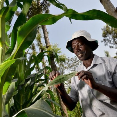 A member-based Org. that works with cereal farmers in Kenya 🇰🇪 & other agricultural stakeholders to ensure a favorable farming environment. #TogetherWeGrow