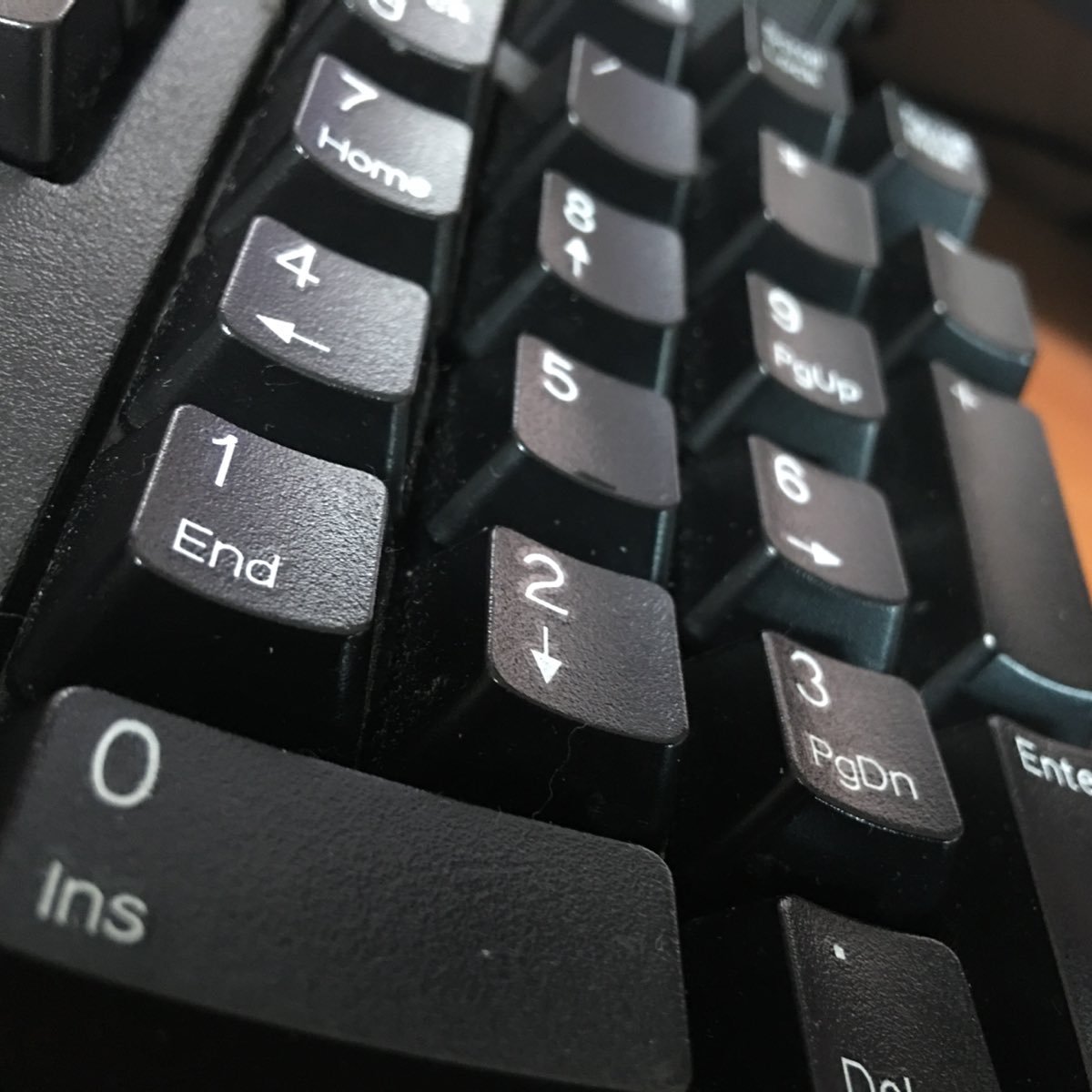 mame_ptamago's profile picture. 超超超文系の畑から #プログラマー を目指して勉強中です。超初心者のつぶやきです。そのうち、プログラマーを目指すブログでも書こうか考え中💧無言フォロー失礼します🙇‍♀️🙏 #プログラミング #html #CSS #JavaScript #Ruby