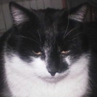 Marek ***** *** (@mareczyk) 's Twitter Profile