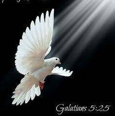 Righteousness is the key to the kingdom of God,
Prepare the Messiah is coming
