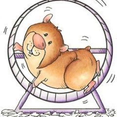 Trying to get off the corporate hamster wheel and enjoy #FinancialIndependence  Proudly South African hamster@hamsterwheel.co.za