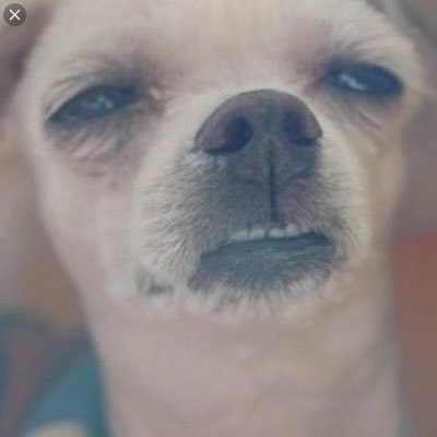 Psychomath2's profile picture. 20↑🍞中文/English/（Can Only Read A Little）日本語 腐向❤️