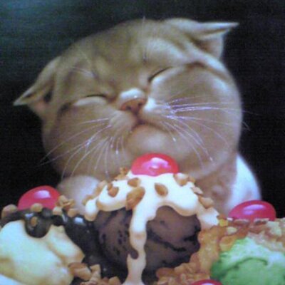 ひっくりかえったおもちゃ箱 Pea3sun Twitter