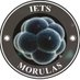IETS Morulas (@IETS_Morulas) Twitter profile photo