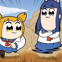 S T (@shin_coding) 's Twitter Profile