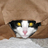 catsoverdogs's profile image