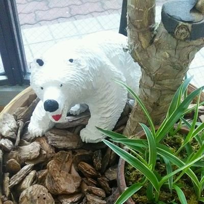 under_125_'s profile picture. 125以下を推奨

雑多な趣向を。
珈琲、緑茶、紅茶、その他飲み物
食べ物全般
神社めぐり（時々お寺）
苔、観葉植物、樽農園
最近、ちょっと日本酒はじめました