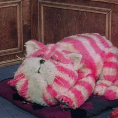 tomboy_and's profile picture. 音楽が好き(主に洋楽、K-POP) SEVENTEEN推し👼🐱