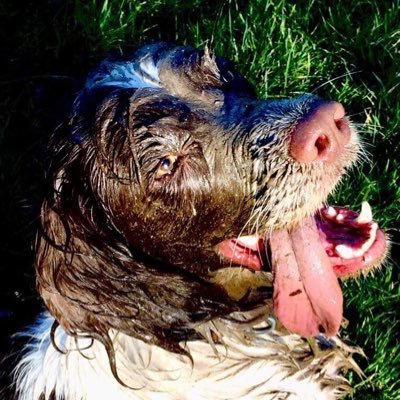 Nellybogey's profile picture. 