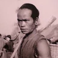 Tran Dau trau (@traudau) 's Twitter Profile