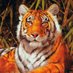 Tiger (@tigeryardley) Twitter profile photo Tiger (@tigeryardley) Twitter profile photo