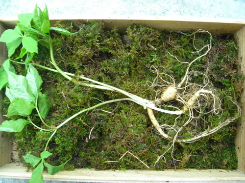 sansamin's profile picture. 대전에 거주하고 있는 50세의 남성입니다.