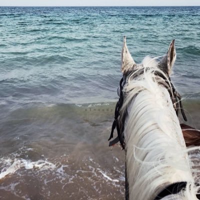 iifm9's profile picture. 